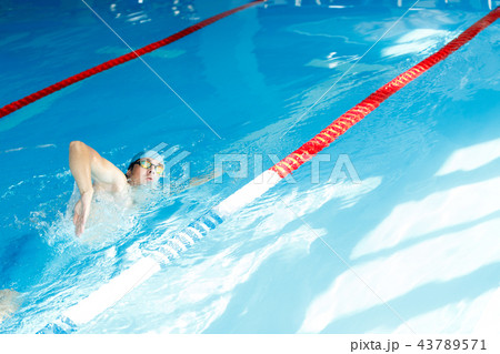 Freestyle swimmer in swimming pool Freestyle swimmer in swimming pool 43789571