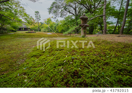 庭園 43792015