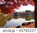 紅葉の浮御堂 43792237