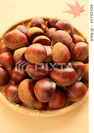 栗201809165dm212 43792498