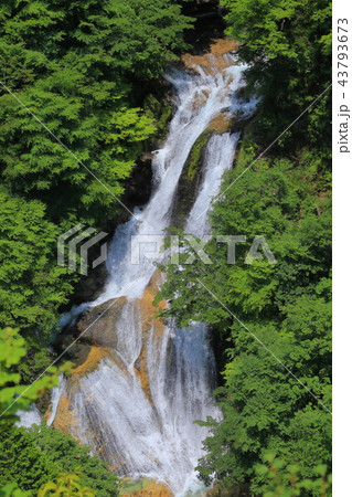 新緑の霧降の滝 43793673