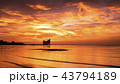Amazing sunset.Colorful sky in the sunset. Natural 43794189