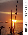 Amazing sunset.Colorful sky in the sunset. Natural 43794190