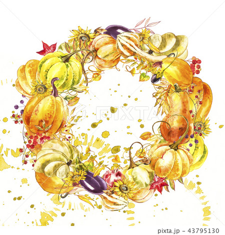 Autumn leaves and pumpkins wreath with space text on white background. Seasonal floral maple oak Autumn leaves and pumpkins wreath with space text on white background. Seasonal floral maple oak 43795130