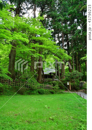 中尊寺(岩手県) 中尊寺(岩手県) 43796215