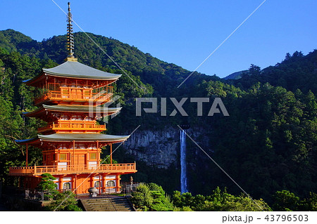 熊野那智大社　那智大滝 ＆ 青岸渡寺 三重塔 （和歌山県 東牟婁郡 那智勝浦町 ） 43796503