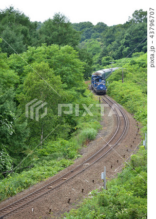 森林地帯を行くDD51重連ブルートレイン北斗星 43796707