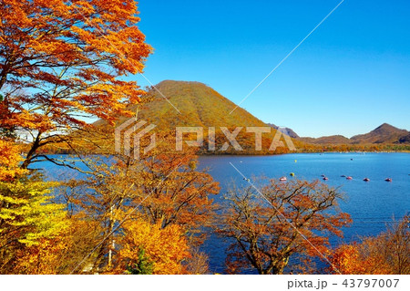 群馬県 榛名山の紅葉 群馬県 榛名山の紅葉 43797007