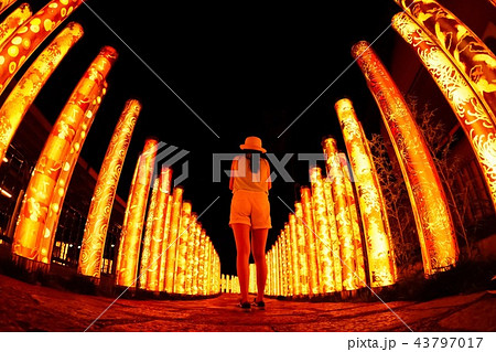 京都 嵐山駅 43797017