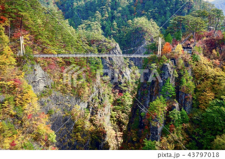 日光の紅葉 川俣ダム 日光の紅葉 川俣ダム 43797018