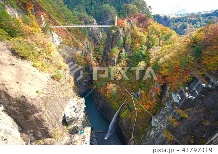 日光の紅葉 川俣ダム 日光の紅葉 川俣ダム 43797019
