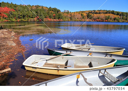 長野県の白駒池の秋とボート(白駒荘付近) 長野県の白駒池の秋とボート(白駒荘付近) 43797034