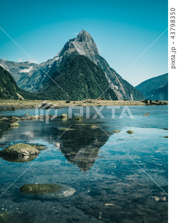 Milford Sound in New Zealand 43798350
