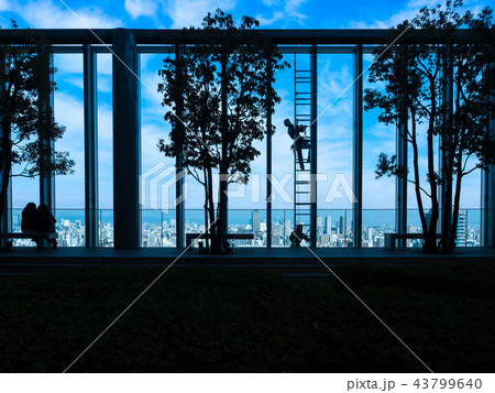 高所清掃作業 高所清掃作業 43799640