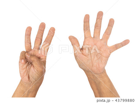 senior hand counting number 8 (eight) senior hand counting number 8 (eight) 43799880