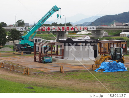 山形市の大鍋芋煮会準備作業 43801127