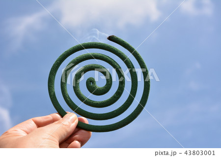 蚊取り線香を持った手、青空背景、イメージ素材 43803001