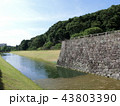 金沢城 いもり堀 43803390