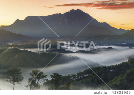 Mount Kinabalu, Sabah, Malaysia 43803939