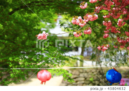 節 寺院 考察 43804632