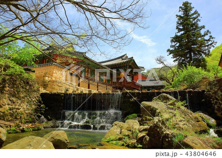 節 寺院 考察 43804646