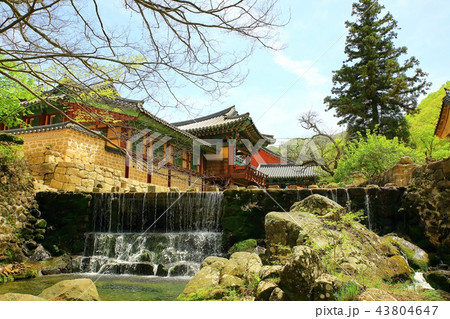 節 寺院 考察 43804647