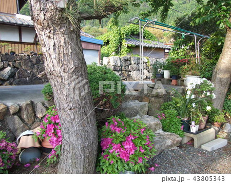 菅浦　滋賀県　湖岸集落　四足門 43805343