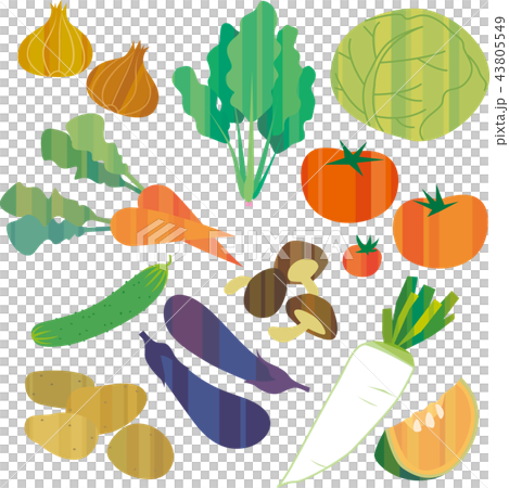 Various vegetables 43805549