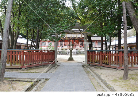 休ヶ岡八幡宮(奈良県奈良市西ノ京町457) 休ヶ岡八幡宮(奈良県奈良市西ノ京町457) 43805635