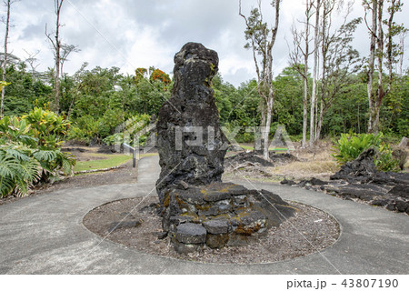 Lava Tree State Monument,Hawaii 43807190