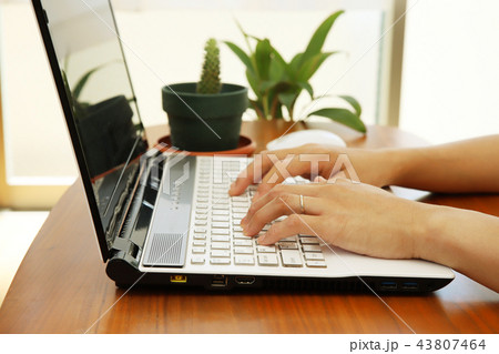 ノートパソコンに入力する女性と観葉植物 43807464