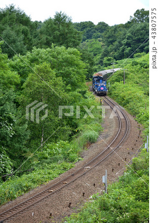 森林地帯を行くトワイライトエクスプレス 43807575