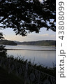湖 湖畔 夕焼け 43808099