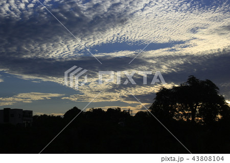雲 空 秋 43808104