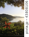 湖畔 風車 夕焼け 43808106