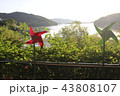 風車 湖畔 湖 43808107