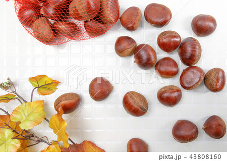 食品　キッチンの栗　秋の収穫 43808160