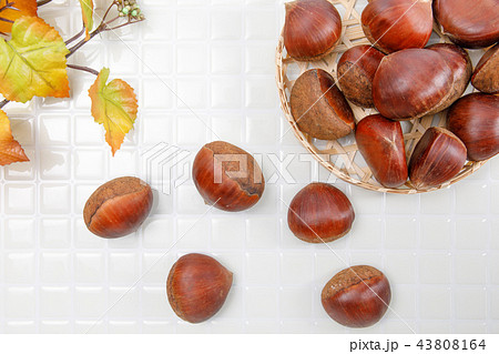 食品　キッチンの栗　秋の収穫 43808164