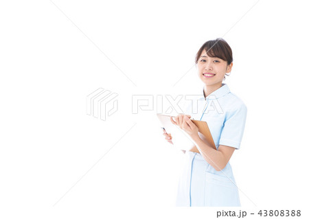 若い看護師 43808388