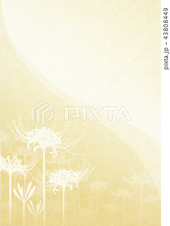 背景素材 彼岸花 背景素材 彼岸花 43808449