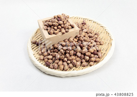 豆類 うずら豆 乾燥豆 豆類 うずら豆 乾燥豆 43808825