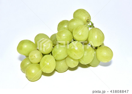 ぶどう(ロザリオ・ビアンコ) ぶどう(ロザリオ・ビアンコ) 43808847