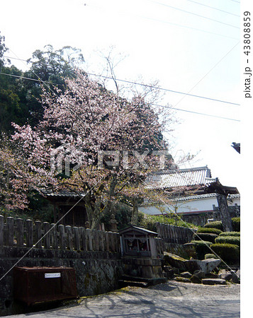 与謝野町  　ちりめん街道　旧尾藤家住宅 43808859
