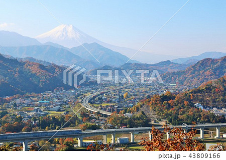 山梨県　都留の街並みと紅葉　そして富士山 43809166