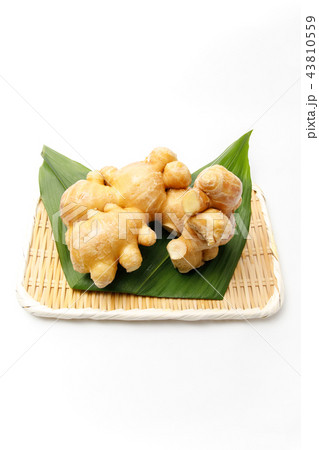 薬味 根生姜 産地:熊本 薬味 根生姜 産地:熊本 43810559
