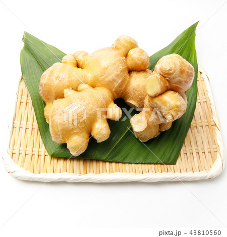 薬味　根生姜　産地：熊本 43810560