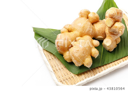 薬味　根生姜　産地：熊本 43810564