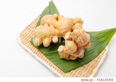 薬味　根生姜　産地：熊本 43810569