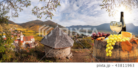 White wine with barrel in Wachau, Spitz, Austria 43811963