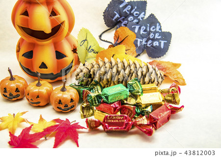 【ハロウィン】 43812003